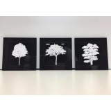 quadros decorativos em acrílico Brasília